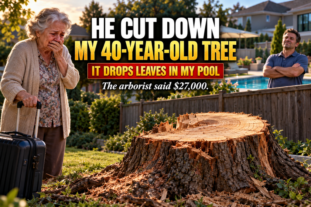 My Neighbor Cut Down My Forty-Year-Old Oak Tree While I Was On Vacation Because It Was Dropping Leaves In His Pool, But An Arborist's $27,000 Valuation, A Determined Lawyer, And A Phone Call From His Wife Taught Our Entire Quiet Little Street What Respect, Accountability, And Neighborly Forgiveness Really Mean