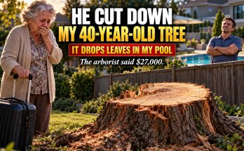 My Neighbor Cut Down My Forty-Year-Old Oak Tree While I Was On Vacation Because It Was Dropping Leaves In His Pool, But An Arborist's $27,000 Valuation, A Determined Lawyer, And A Phone Call From His Wife Taught Our Entire Quiet Little Street What Respect, Accountability, And Neighborly Forgiveness Really Mean