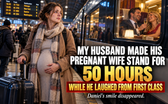 My Husband Made His Seven-Month-Pregnant Wife Stand For Fifty Hours While He Laughed From First Class, Because Daniel Said Every Flight To Boston Was Sold Out And Booked Me A Train Ride With No Seat While He And His Sister Vanessa Had Sleeper Cabins, And At The Very First Stop I Got Off
