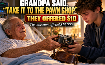 Before My Grandfather Died, He Put A Dusty Old Camera In My Hands And Told Me To Take It To The Pawn Shop, Where They Offered Me Ten Dollars, Then He Sent Me To The Antique Store And A Third Place Where The Curator's Eyes Widened — What I Learned That Week Changed How I See Value, Family, And My Own Future
